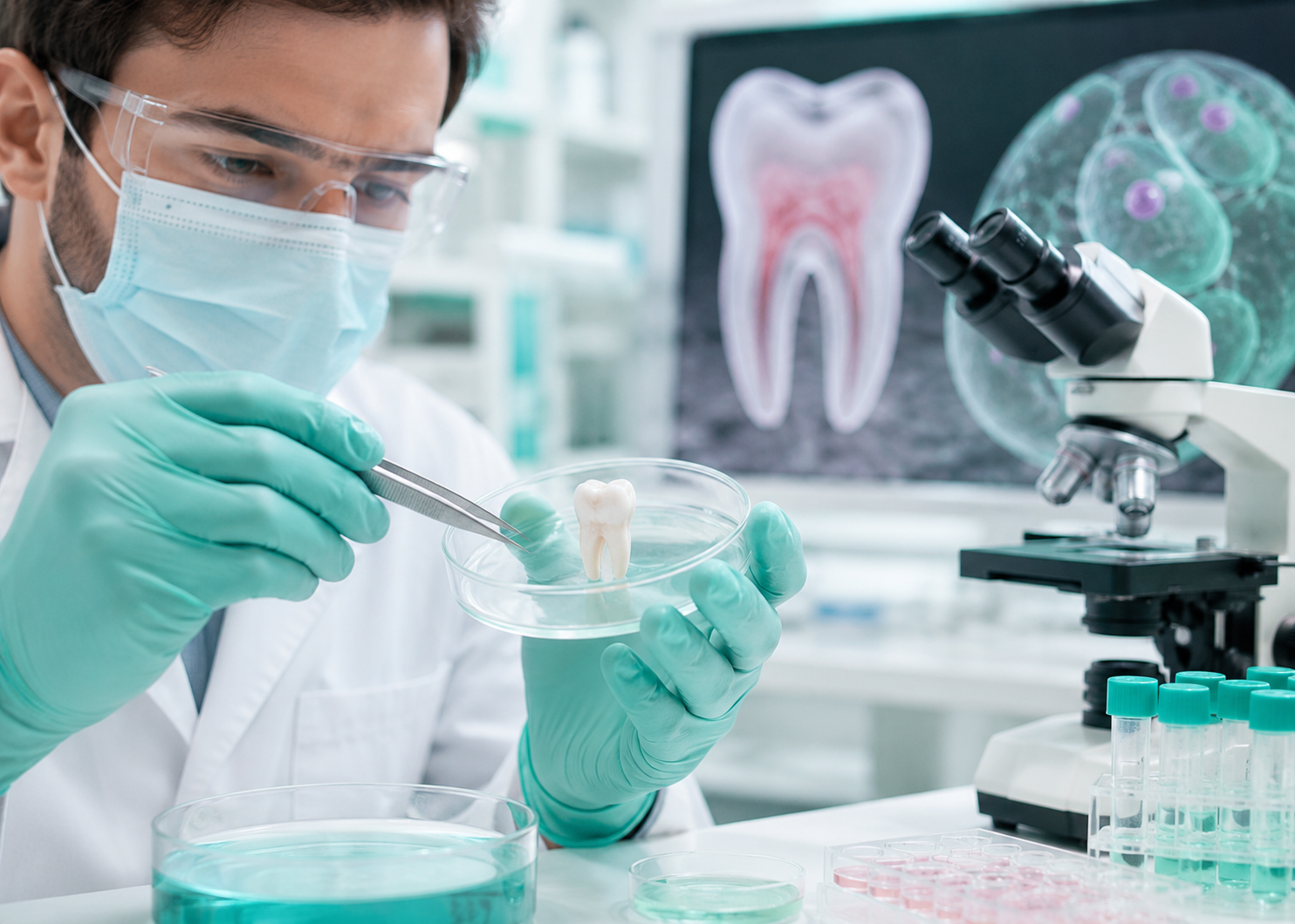 Cellule Staminali di provenienza dalla Polpa Dentale